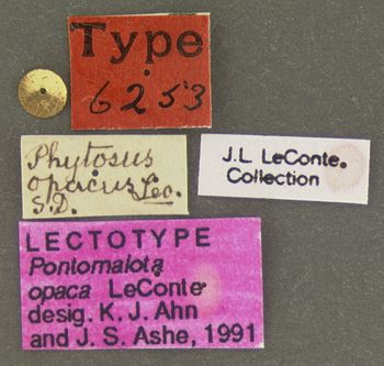 Media type: image;   Entomology 6253 Aspect: labels